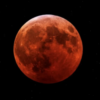 Noite gratuita no Planetário do Rio permite observação de eclipse lunar