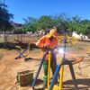 1.756 equipamentos são recuperados em praças de Goiânia