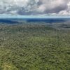 Crédito de US$ 1 bilhão é autorizado para o Eco Invest Brasil