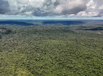 Crédito de US$ 1 bilhão é autorizado para o Eco Invest Brasil