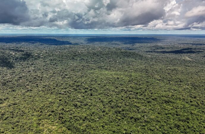 Crédito de US$ 1 bilhão é autorizado para o Eco Invest Brasil