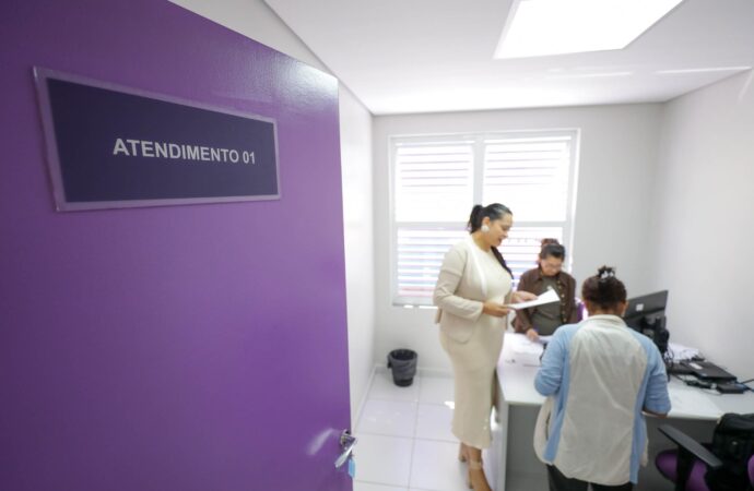 Serviços de apoio a mulheres vítimas de violência no DF